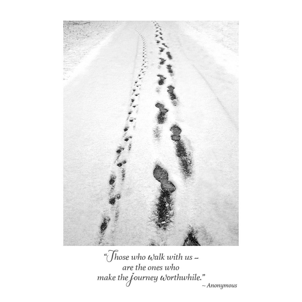Mundo Images - Winter Dog (Pet Sympathy)