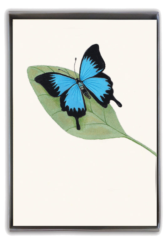 Cardthartic - Blue Butterfly Boxed Notes