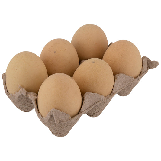 Eggs (set of 6) - Brown