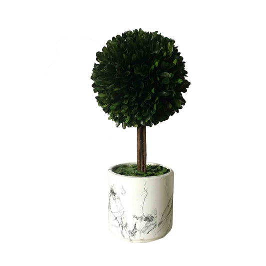 Boxwood Ball W Marble Finish Pot