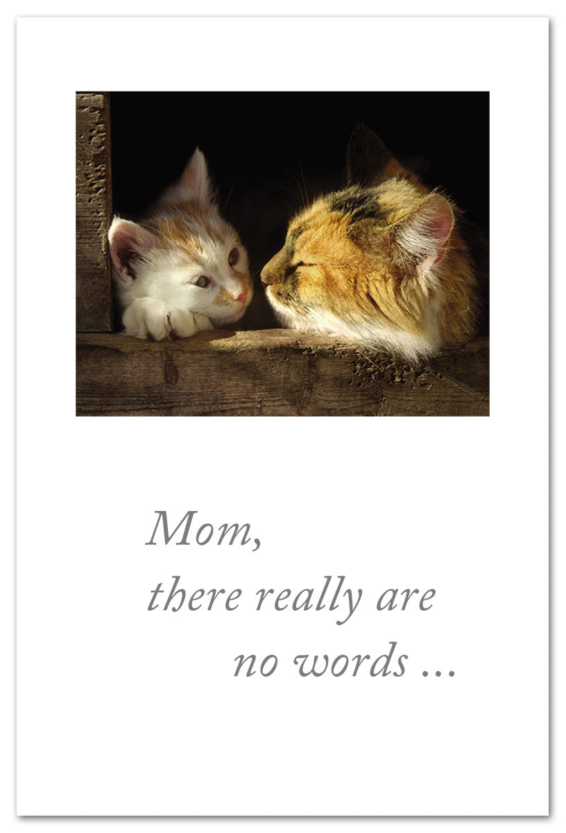 Cardthartic - Kitten & Mom