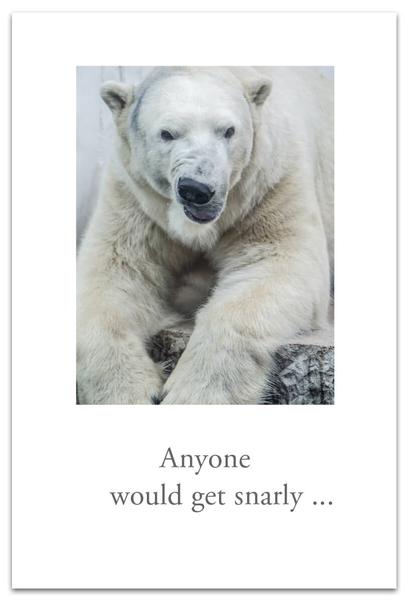 Cardthartic - Snarly Polar Bear
