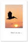 Cardthartic - Pelican at Sunrise
