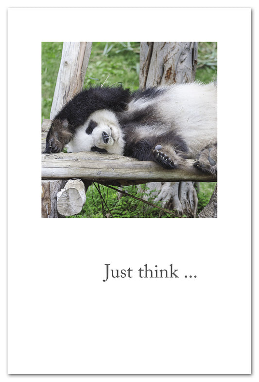 Cardthartic - Sleeping Giant Panda