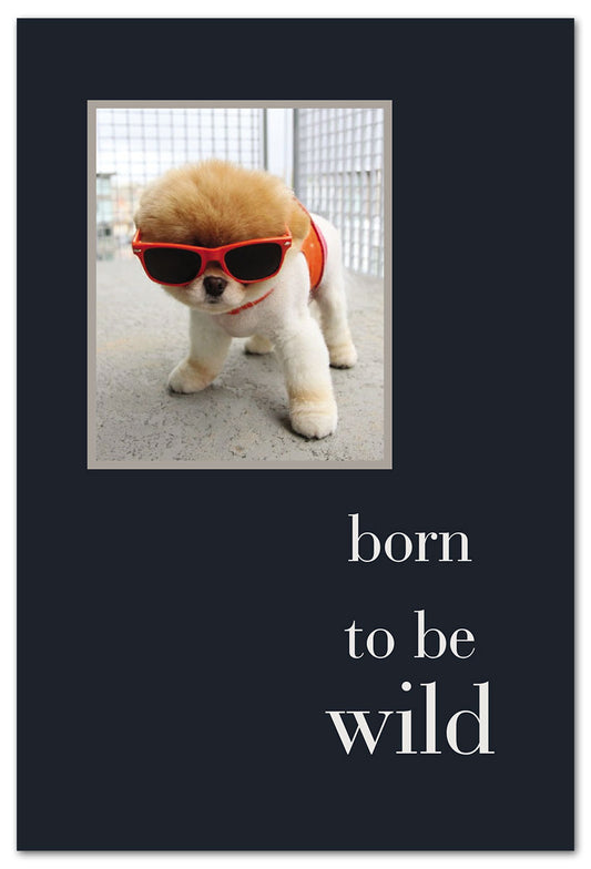 Cardthartic - Born to be Wild