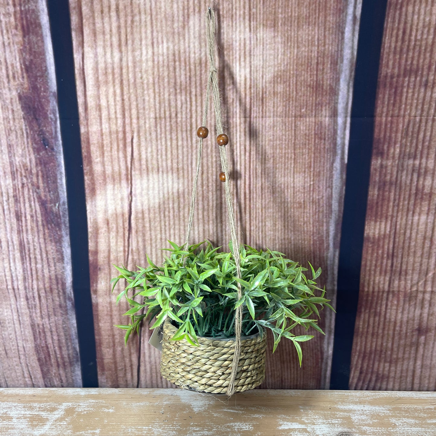 Hanging Life-Like Plant - Style 4