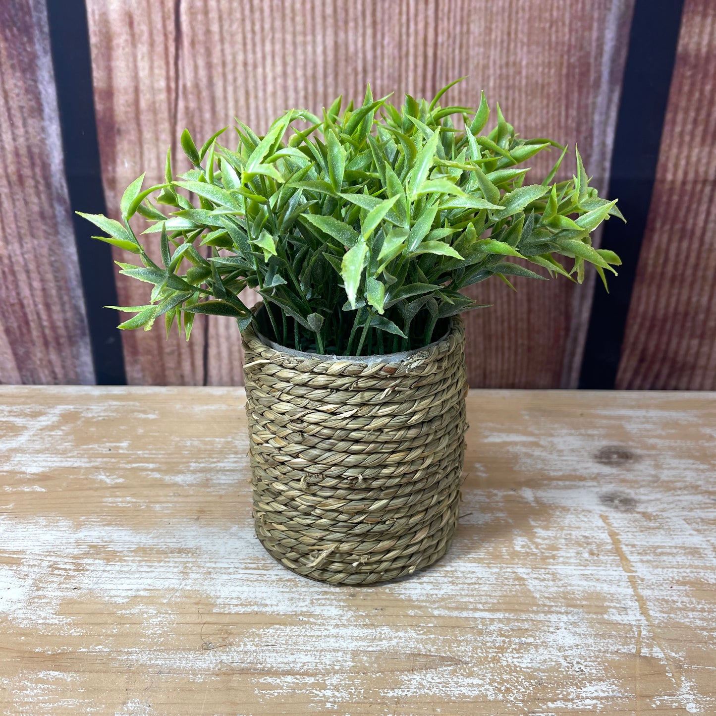 Life-Like Plant in Woven Planter - Style 4