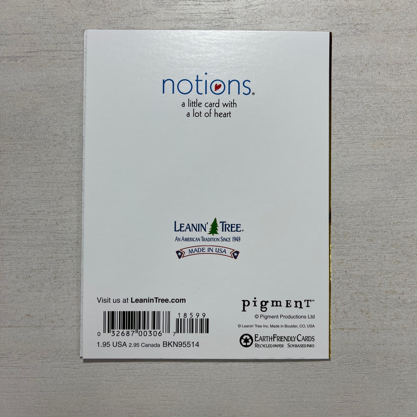 Leanin Tree - Blank Notecard (Mini)