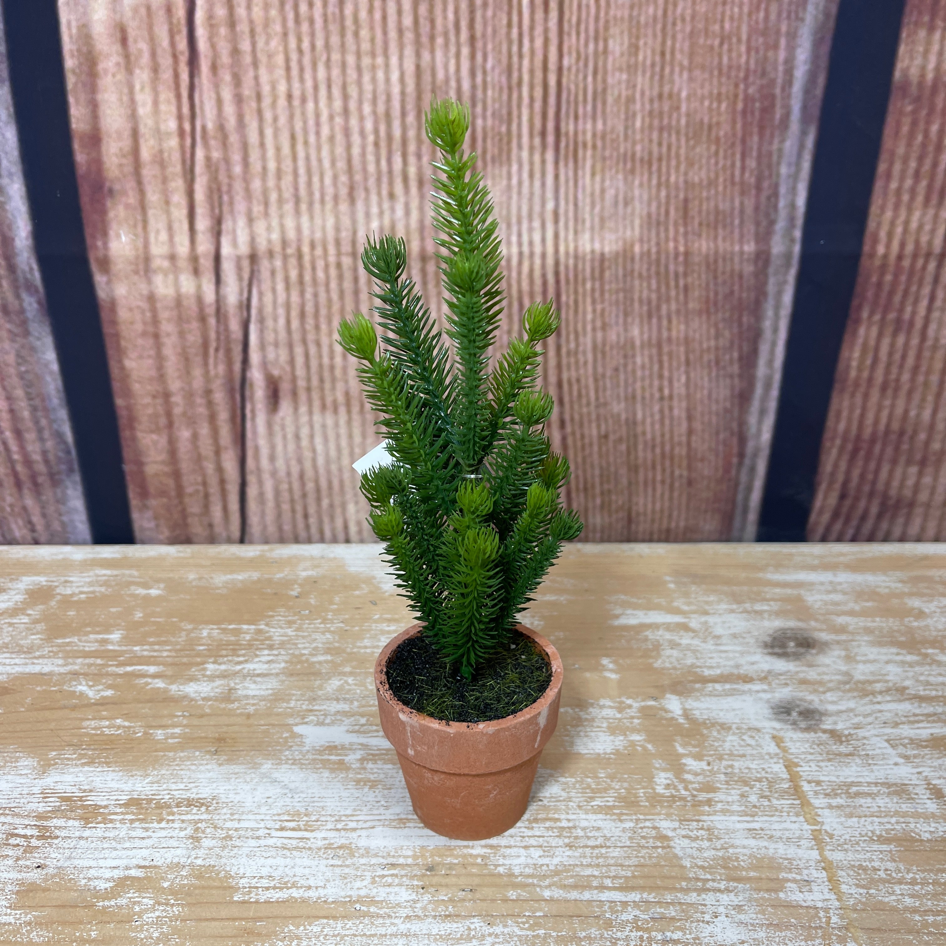 Little Tree Pot Mini Potted Tree - Green 1 – Brissonté Gifts & Home Decor