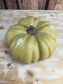 Kentucky Field Pumpkin Collection - Style 4