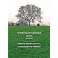 Mundo Images - Undue Grief Irish (Sympathy)