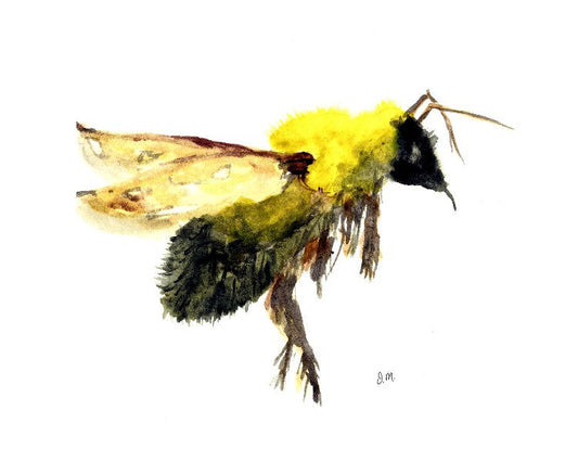 Just One Miracle - Bumblebee (10 Note Cards)