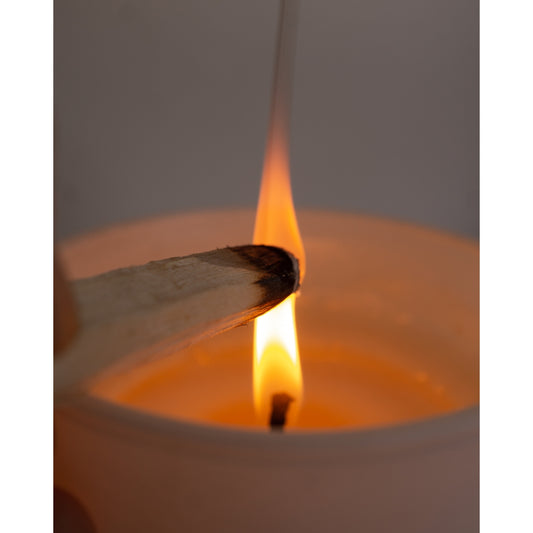 Palo Santo Bundle - Positivity & Protection