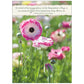 Legacy - Pink Flower in the Meadow Scripture Card