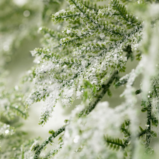 Frosted Fern Ring - 6.5inch
