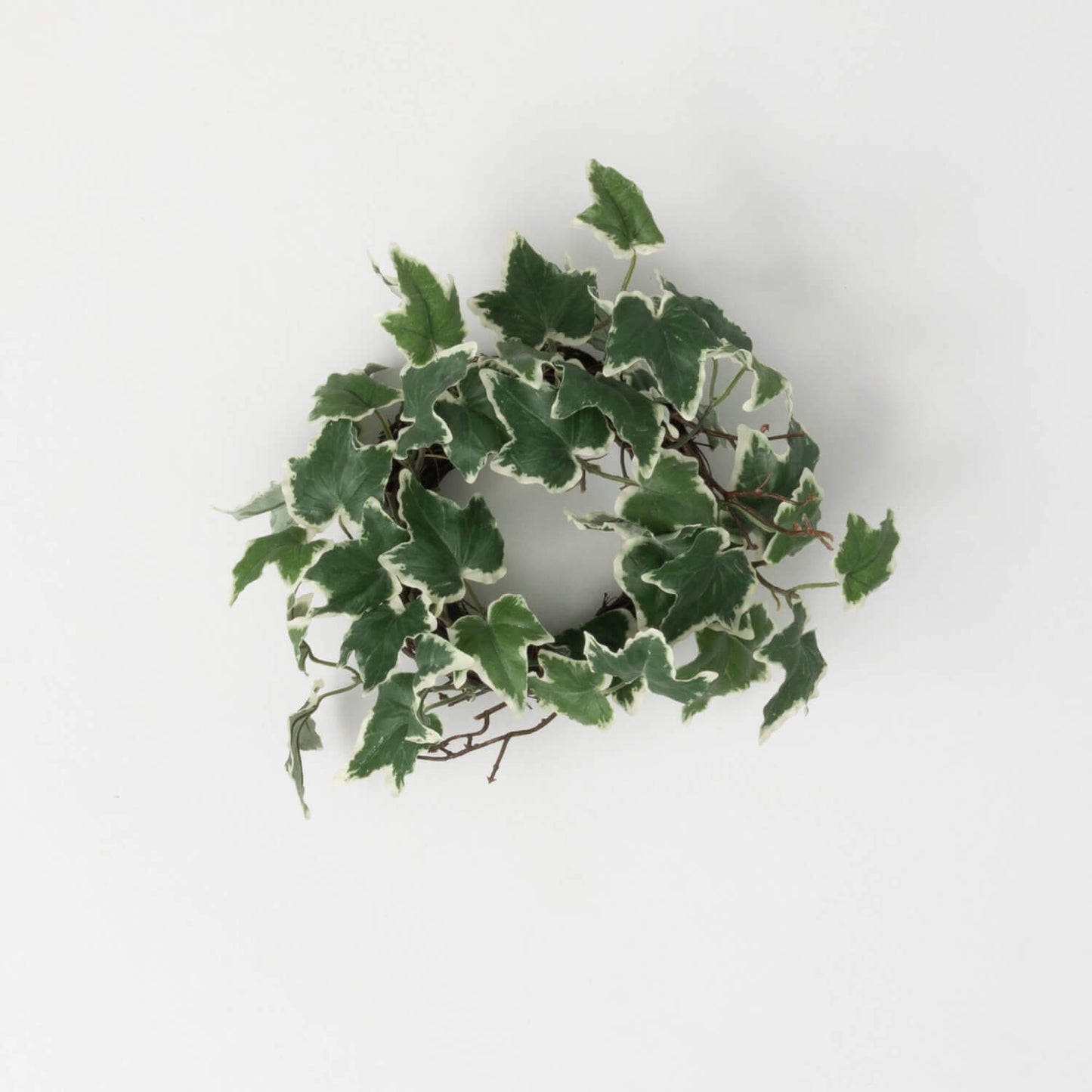 Ivy Twig Accent Ring 4.5''